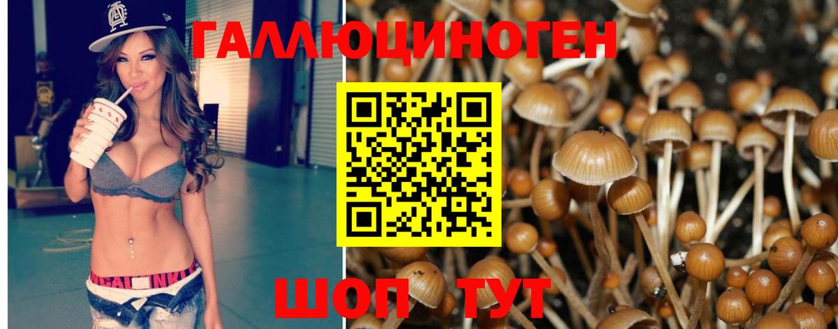 Галлюциногенные грибы Cubensis Пугачёв