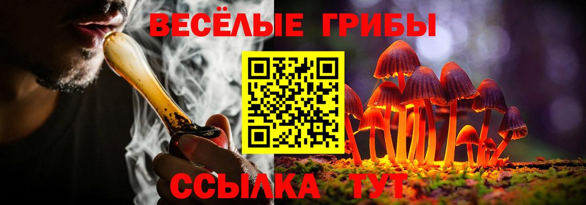 Галлюциногенные грибы MAGIC MUSHROOMS  Вход с VPN  Пугачёв 
